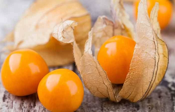 خرید نهال فیسالیس خوش طعم 
