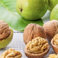 گردو سفید شیلی کمیاب
