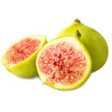 Green pear fig seedlings