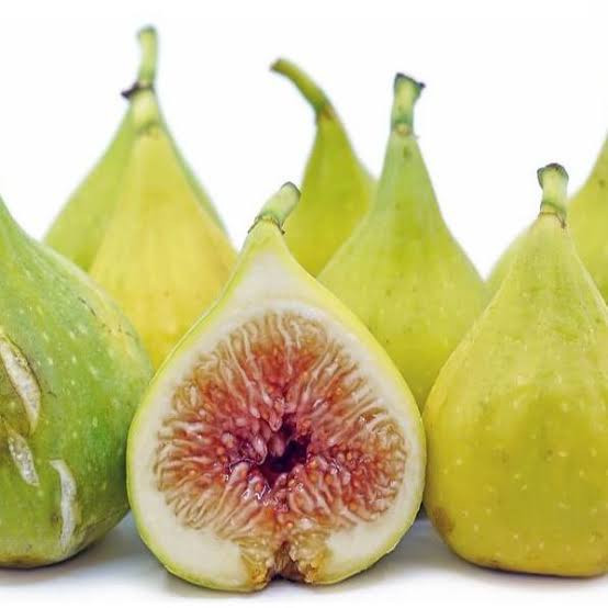 خرید نهال انجیر سبز گلابی
